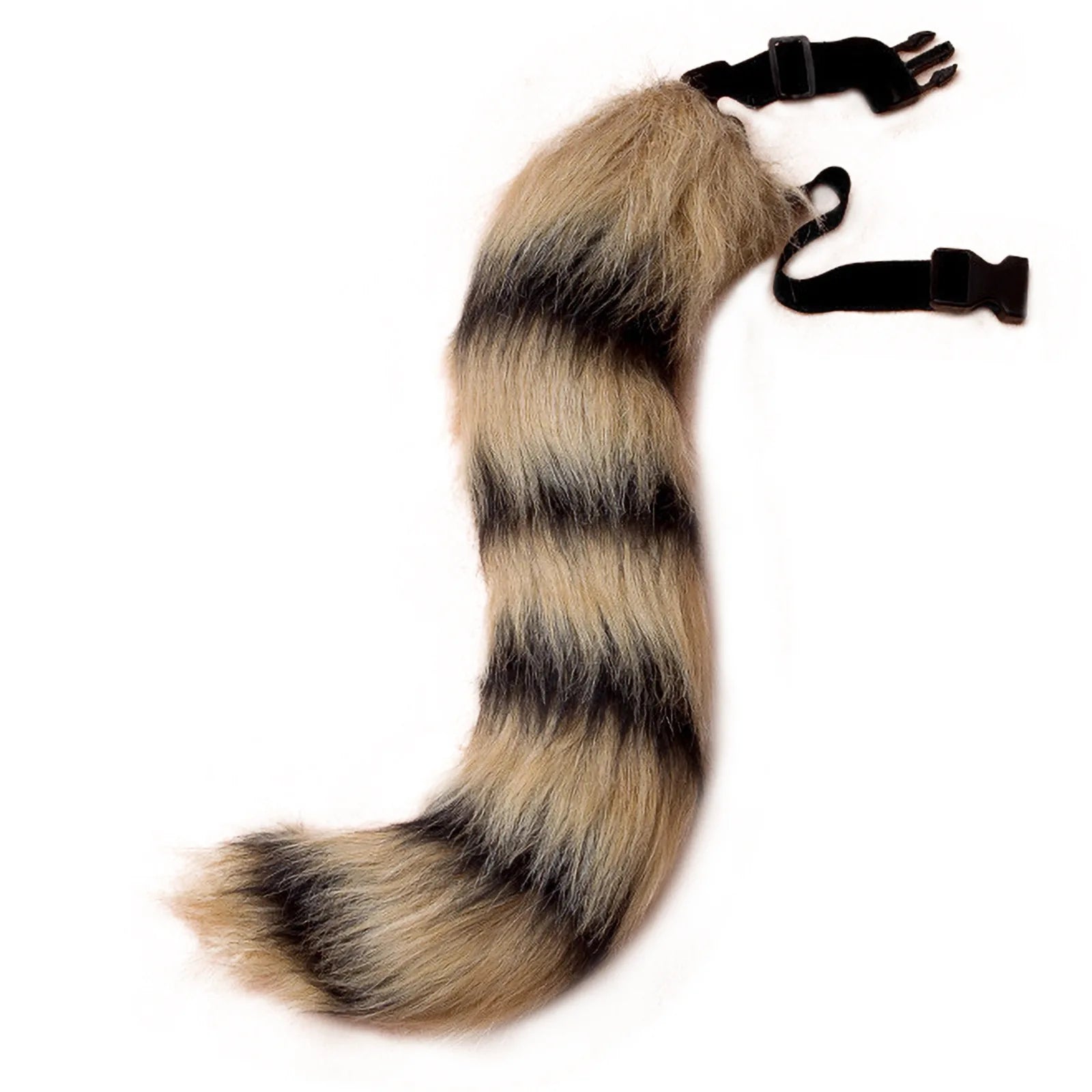 Simulation Fox Tail