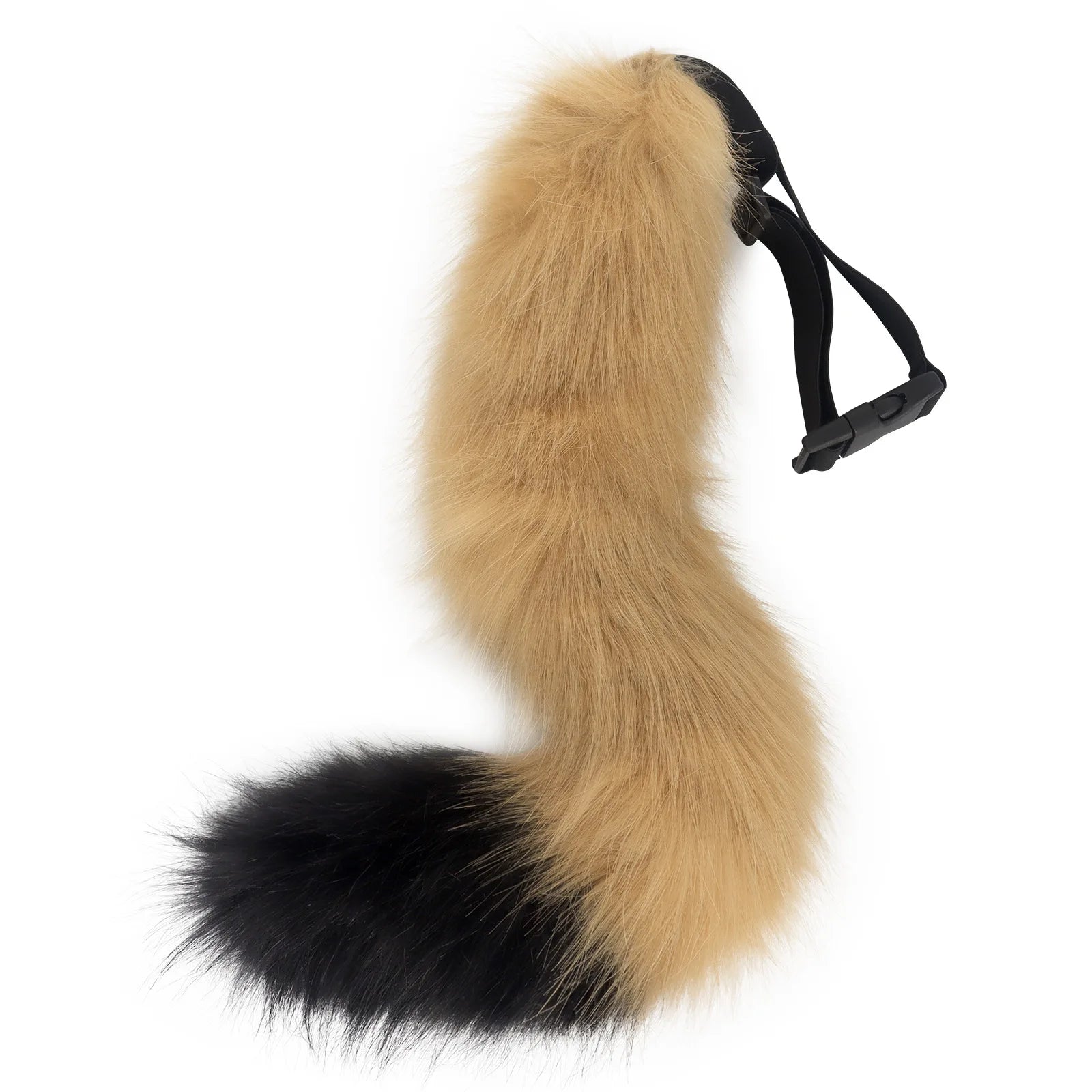 Simulation Fox Tail